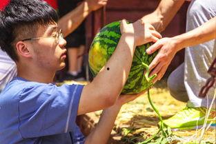 许乐吃瓜,揭秘娱乐圈背后的秘密与真相