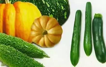 只吃腚栽瓜,探寻“只吃腚栽瓜”的独特魅力与种植技巧