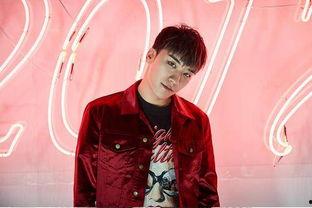 吃瓜视频bigbang,BigBang背后的故事与影响力