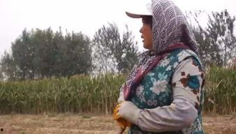 红衣大爷喊吃瓜,揭秘网络热传背后的故事