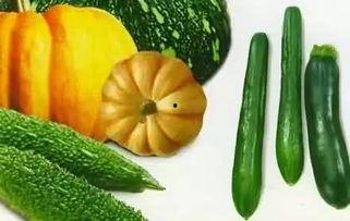 电母吃瓜,揭秘娱乐圈幕后风云