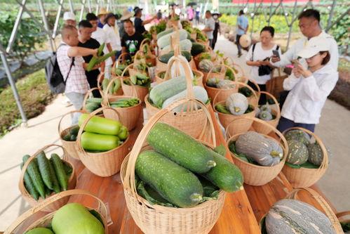 广州升学吃瓜圈,揭秘家长们的“吃瓜”日常与升学秘籍