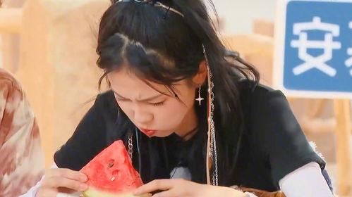 白鹿吃瓜采访,揭秘娱乐圈幕后故事与真实心声