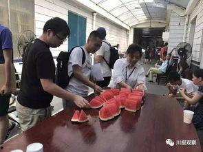 湖州吃瓜群众照片,吃瓜群众聚焦，瞬间成为焦点