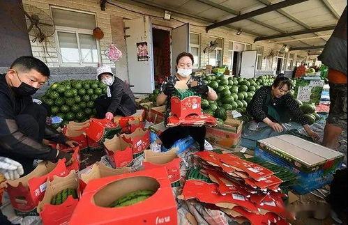 湖州吃瓜群众照片,吃瓜群众聚焦，瞬间成为焦点