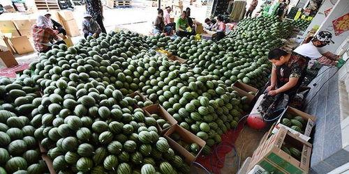 湖州吃瓜群众照片,吃瓜群众聚焦，瞬间成为焦点