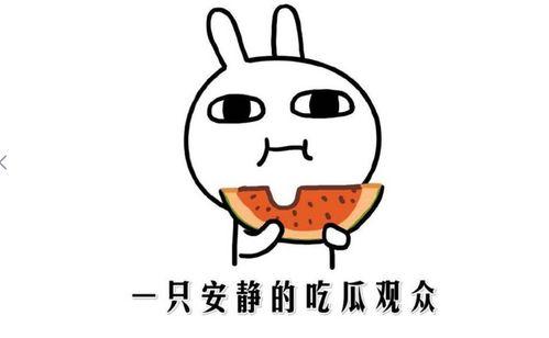 吃瓜怎么描写句子,揭秘娱乐圈的甜蜜与苦涩