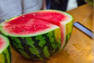 五校吃瓜,一场别开生面的校园吃瓜盛宴