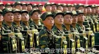 海军吃瓜群众,揭秘军中趣闻轶事