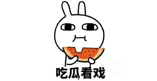 废话吃瓜,从废话吃瓜到真相大白