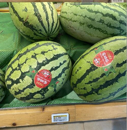 金茂悦重庆吃瓜,一场别开生面的吃瓜盛宴