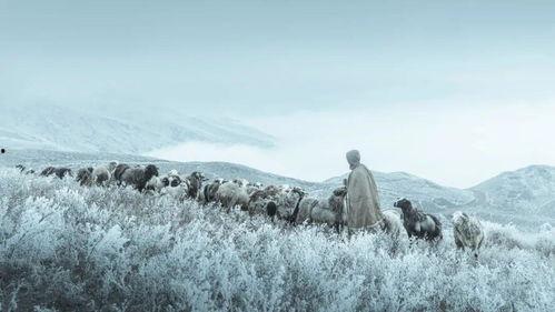 云端吃瓜牧歌在线观看,一场别开生面的云端盛宴