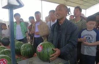 沧州吃瓜群众,揭秘当地独特饮食文化