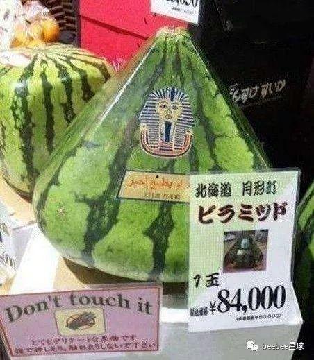 中国吃瓜群众现场,揭秘娱乐圈幕后风云