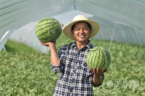吃瓜速度能有多快,揭秘吃瓜达人瞬间消化海量资讯