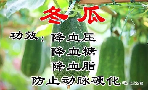 每日吃瓜大寒,大寒时节的趣味生活点滴