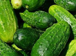 五个吃瓜视频,揭秘娱乐圈幕后风云