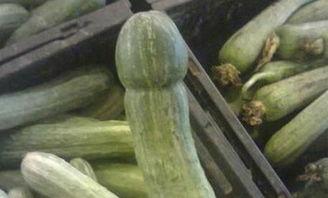 吃瓜有趣图片,趣味盎然的吃瓜瞬间