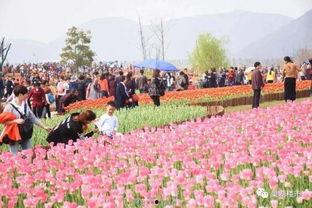 吃瓜群众来自南京,南京“吃瓜群众”热议本地新鲜事
