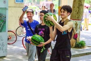 吃瓜卫校,校园生活趣味横生，学子们如何度过快乐时光