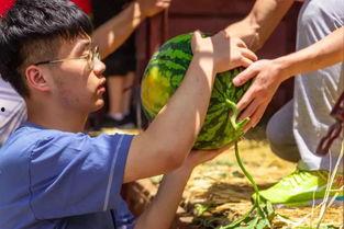 吃瓜卫校,校园生活趣味横生，学子们如何度过快乐时光