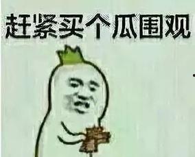 吃瓜吃到自己祖上,一场意外的家族揭秘之旅