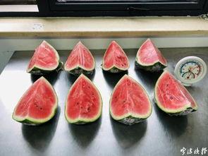 吃瓜产品测评分析,产品测评大揭秘，让你轻松挑选心仪佳品