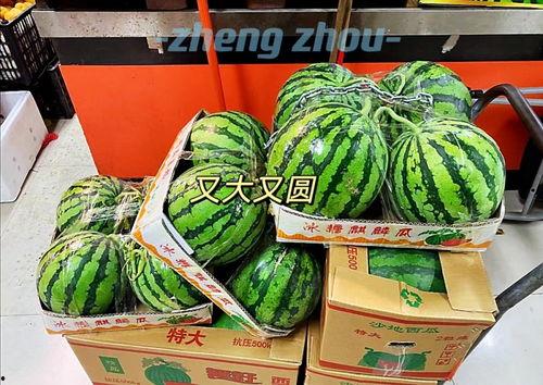 郑州吃瓜博主,郑州吃瓜博主带你探秘本地美食江湖